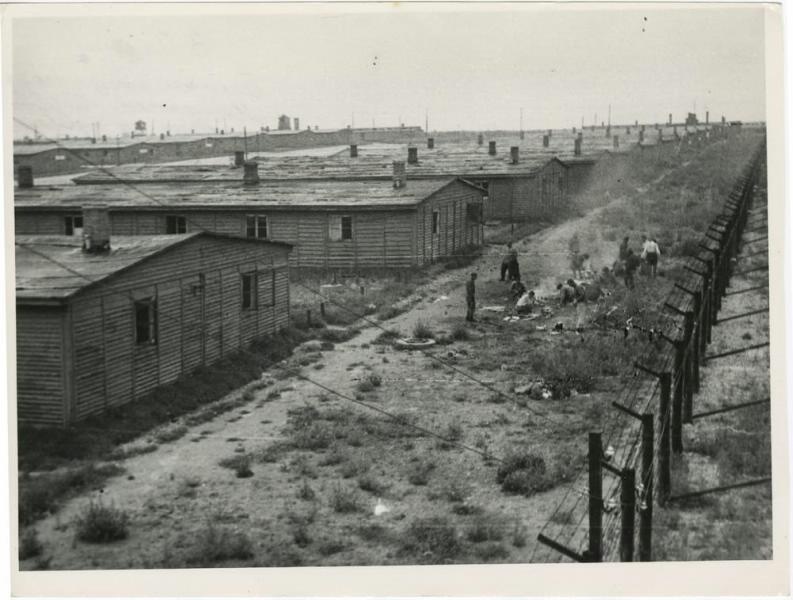 Бараки концлагеря Майданек, 1945 год, Польша. Под городом Люблин.Выставки&nbsp;«Холокост», «Лагерь смерти Майданек» с этой фотографией.