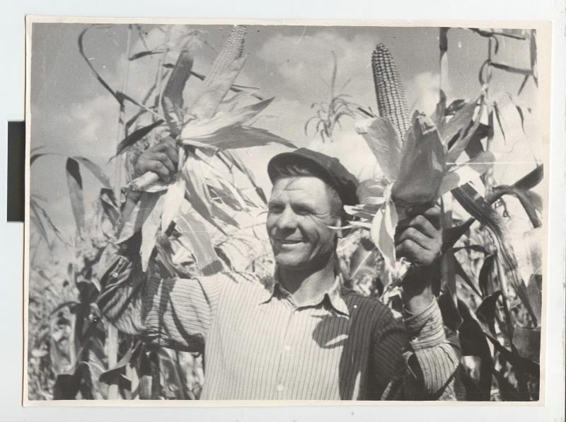 Уборка кукурузы. Комбайнер В. Я. Первицкий, 1960 - 1963, Краснодарский край. Выставка «Новый урожай» с этой фотографией.