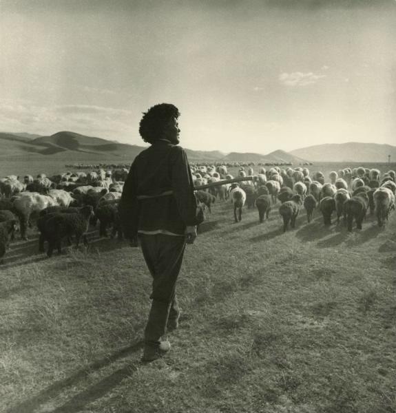 Чабан, 1977 год, Туркменская ССР