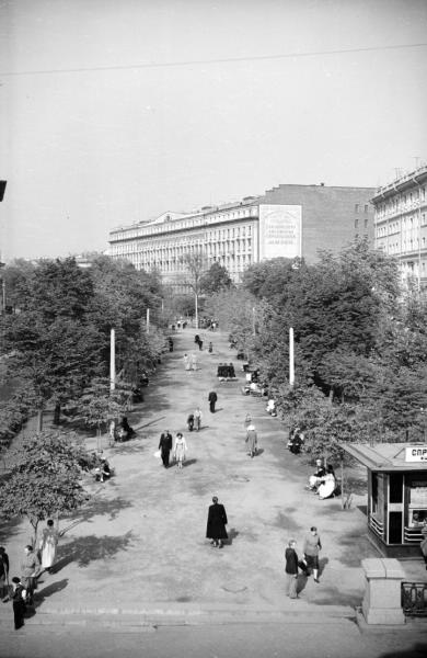 Московский бульвар, 1950-е, г. Москва