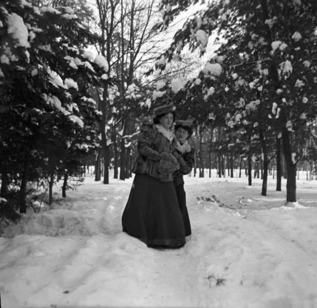 В зимнем парке, 1900-е, Московская губ., Московский у.