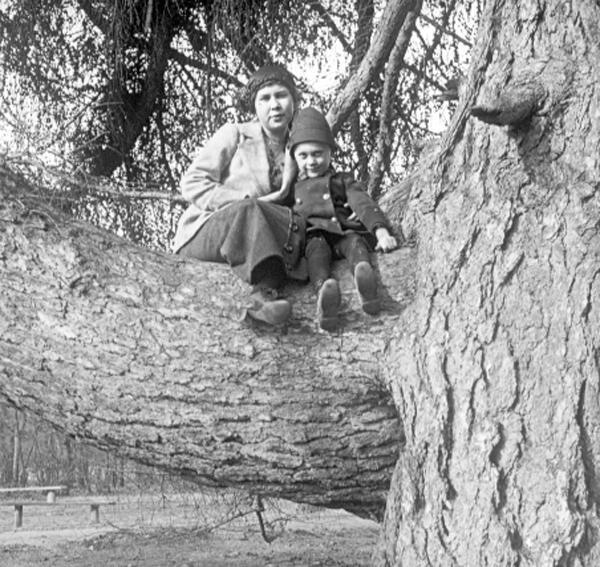 Всеволод Авдонин (сын Ивана Васильевича Авдонина) с родственницей на дереве, 1910 - 1912