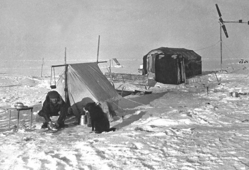 Дежурный по кухне на станции «Северный Полюс-1» Эрнст Кренкель, рядом пес по кличке Веселый, 1937 год