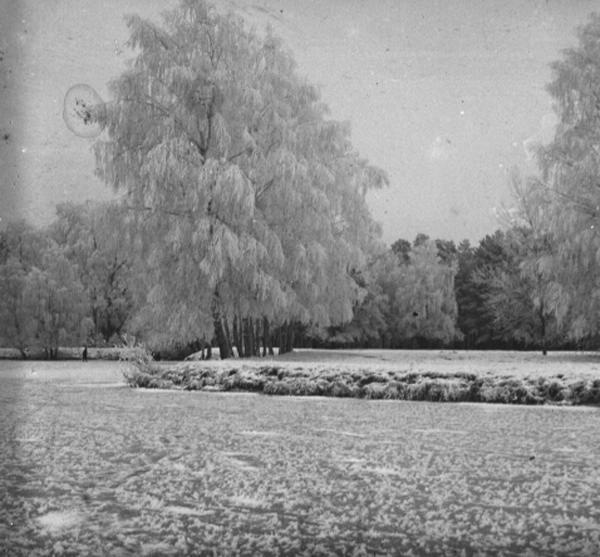 Зимний пейзаж, 1910-е