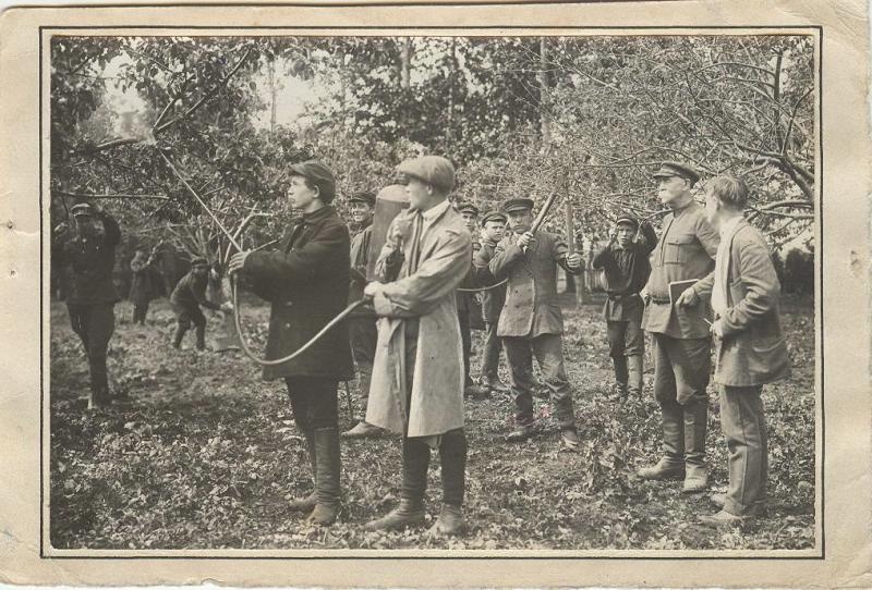 Работы по опрыскиванию деревьев для борьбы с вредителями, 1928 - 1930, Тамбовский округ, Бондарский р-н
