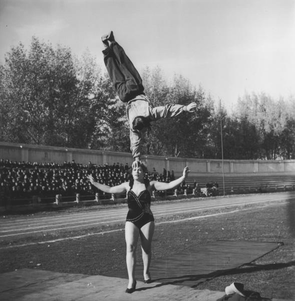 Цирковая кавалькада, ноябрь 1957