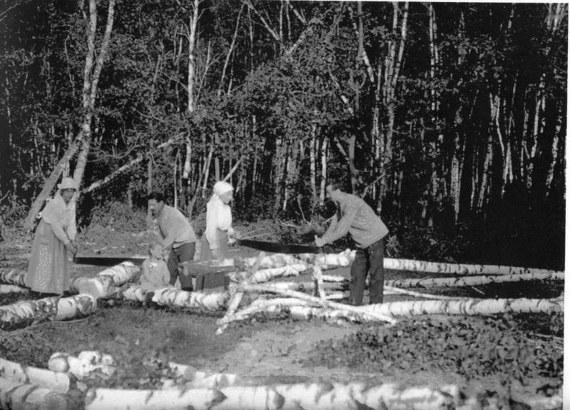 Заготовка дров на зиму, 1900-е