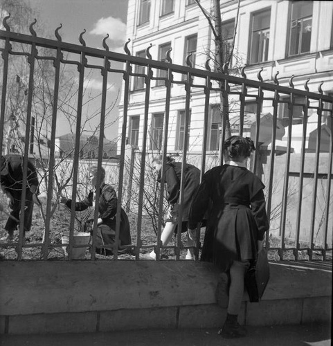 Фото На пришкольном участке 1950 е История России в фотографиях
