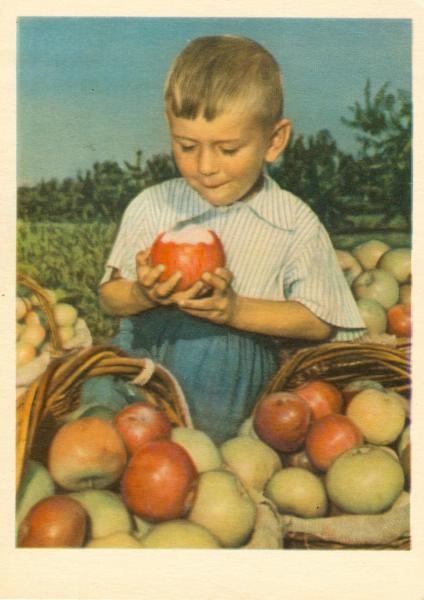 «Вот так яблоко!», 1958 год