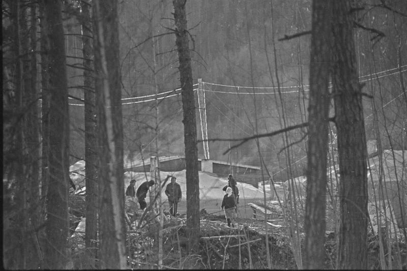 Вид на поселок из леса, 1974 год, Иркутская обл., Усть-Кутский р-н, пос. Звездный
