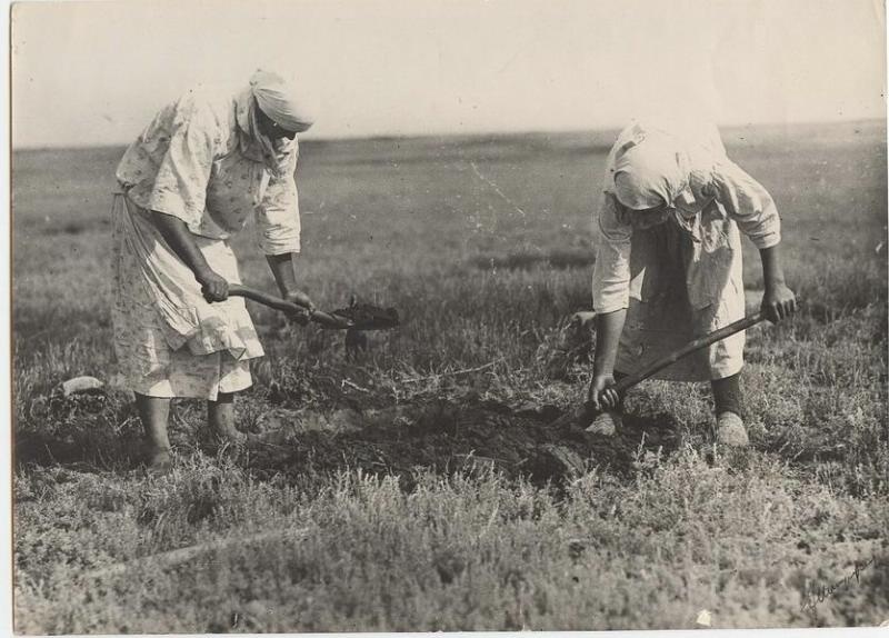 Борьба с сусликами хлорпикрином. Закапывание нор, 1930-е, Северный Кавказ