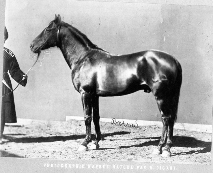 Конь Верный, 1870-е
