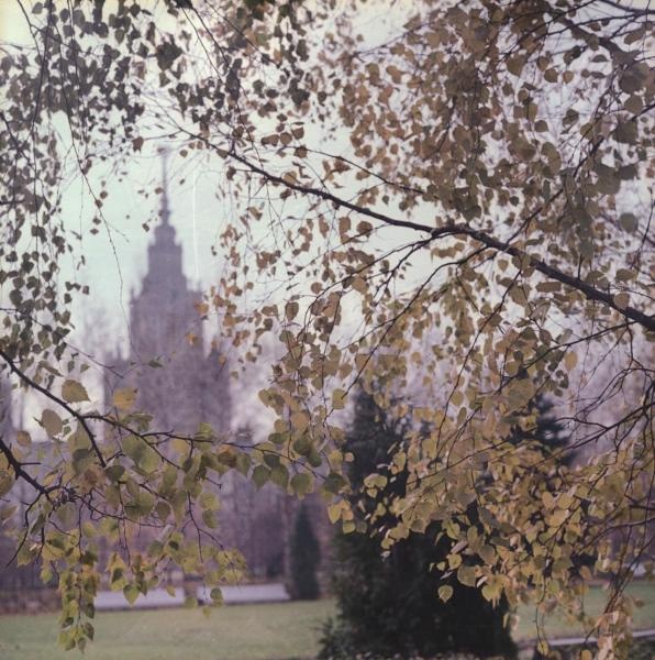 Главное здание Московского государственного университета, 1960-е, г. Москва. Выставка «Листья желтые над городом кружатся...» с этой фотографией.