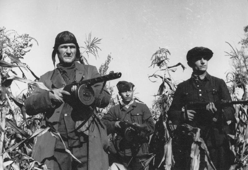 Украинские партизаны из отряда «За Родину», июнь - сентябрь 1943, Украинская ССР. Выставка «Партизаны» с этой фотографией.