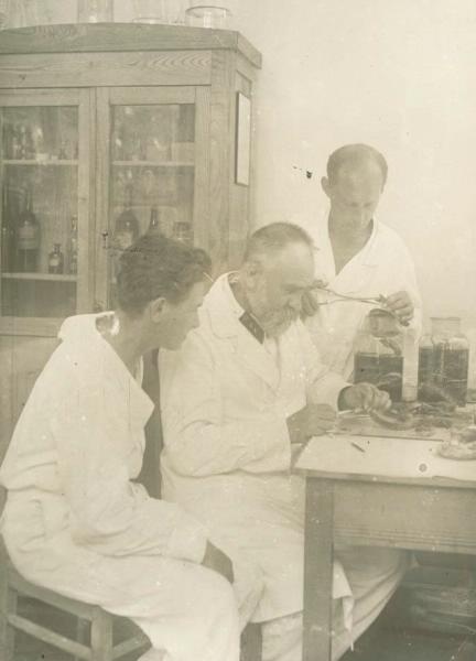 Лабораторные исследования, 1930-е