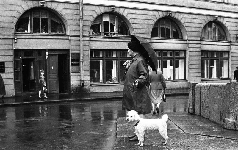 Мужчина с пуделем, 1960-е, г. Ленинград