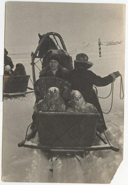 Сани, 1930-е. Выставка «По России на санях» с этой фотографией.