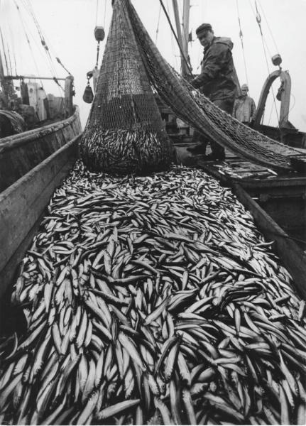 Рыбаки, 1970-е, Эстонская ССР. Выставка «"Ловись рыбка большая..." Рыболовный бум в СССР» с этой фотографией.