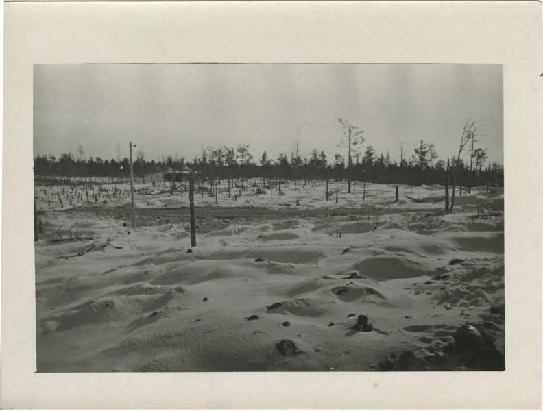 Финская война. Снежное поле, 1939 год