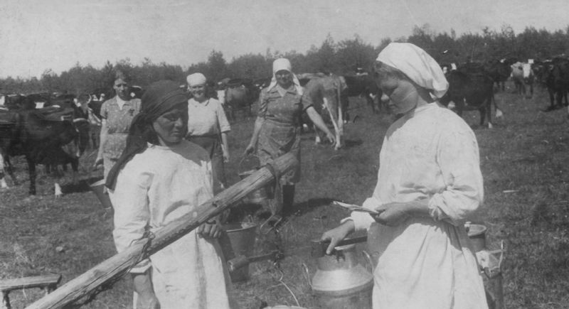 Последний колхоз. Колхоз новая жизнь. Совхоз боровичанин.