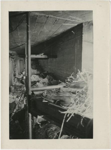 Финская война. Нары в подвале, 1939 год