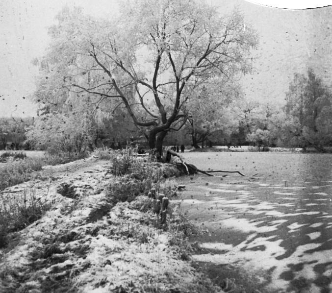 Зимний пейзаж, 1910-е