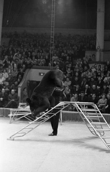 Луиджи Безано с дрессированным медведем, 1967 - 1970, г. Москва