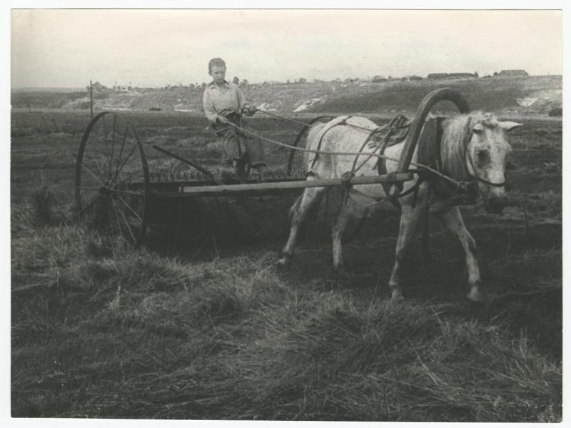 Пионер Ваня Подкатнов работает в поле, 1942 год