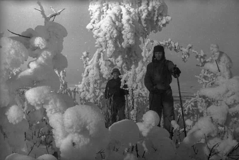 Иней. Лыжники в зимнем лесу, 1938 год
