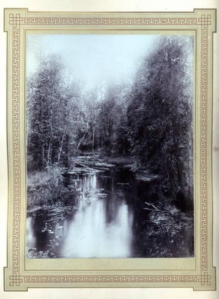 Лесная речка, 1900-е