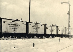 Вагоны-ледники, 1895 - 1905, Самарская губ.. Выставка «История страны под стук колес»&nbsp;и видео «Под стук колес» с этой фотографией.