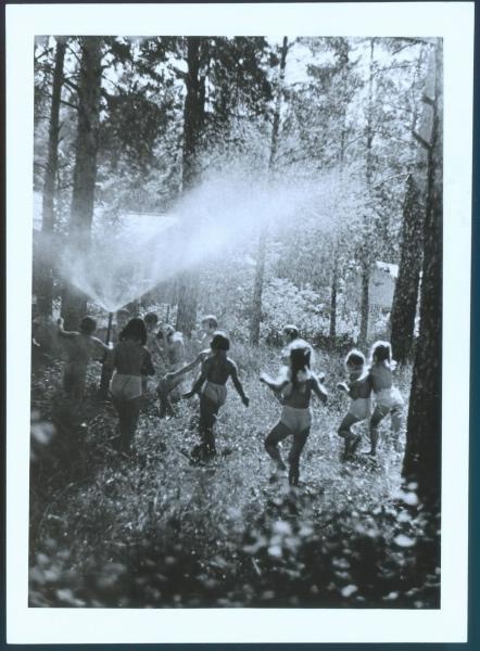 Под лесным душем, 1963 год