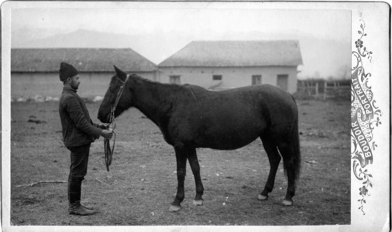 Кобыла, 1890-е