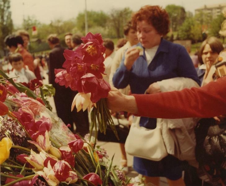 Тюльпаны, 1970-е