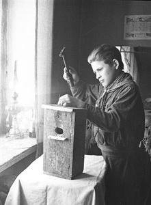 Изготовление скворечника, 1949 год. Выставки&nbsp;«СССР в 1949 году» и «"Навстречу весне". Скворечники» с этой фотографией.