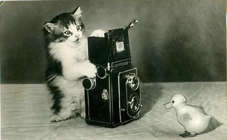 Котенок с фотоаппаратом, 1955 год, г. Москва. Видео «Без кота и жизнь не та» с этой фотографией.