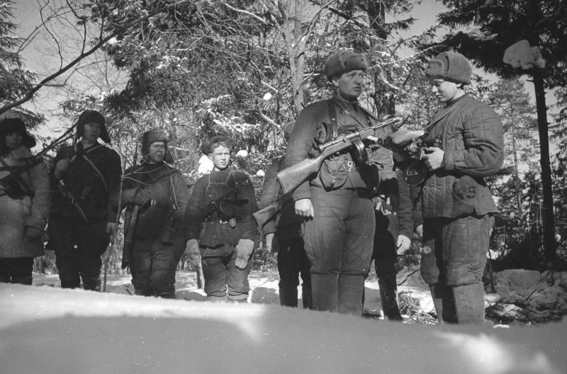 Партизаны, 1941 - 1945