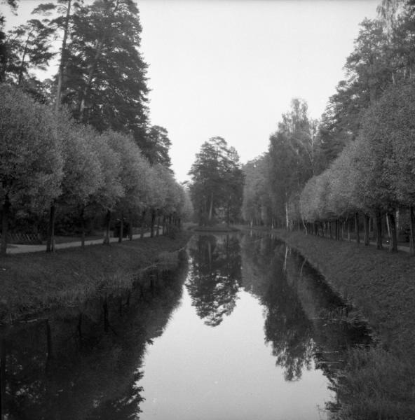 Путяевский пруд в Сокольниках, 1904 год, г. Москва, Сокольники