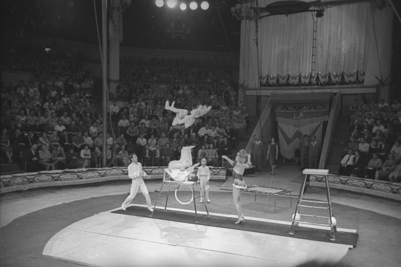 Цирк. Партерные гимнасты, 1950-е, г. Москва