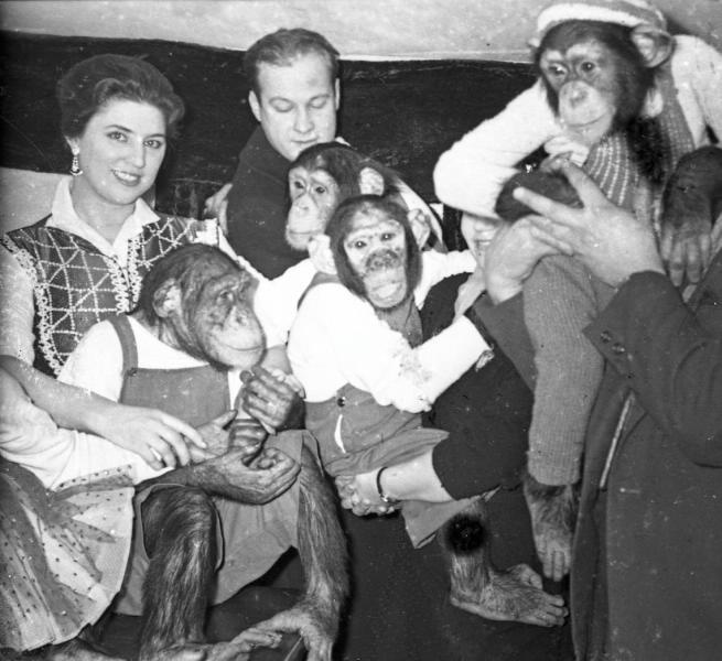 Дрессировщики с шимпанзе за кулисами цирка, 1960 год, г. Москва