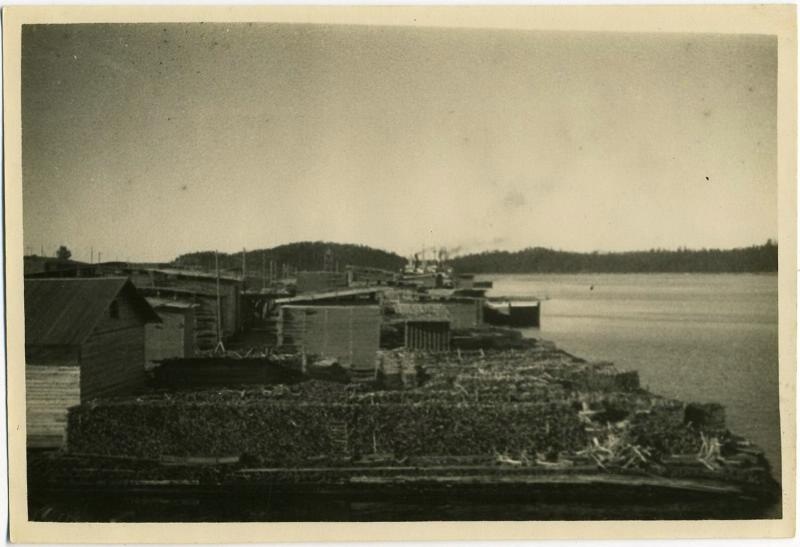 Дрова для парохода, 1920-е