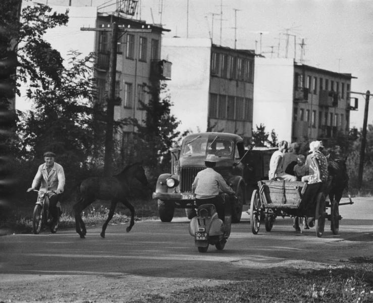 Улица, 1960-е. Выставка «Мотороллеры и мопеды» с этой фотографией.