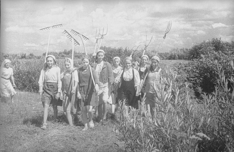 Московские пионеры помогают колхозу, 1942 год, Московская обл., г. Пушкино