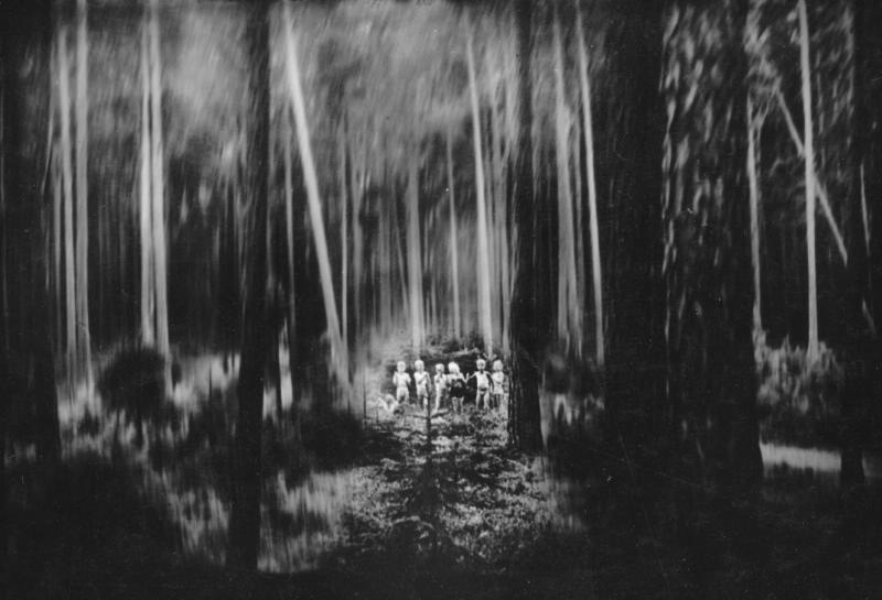 «Лесные тайны», 1974 год