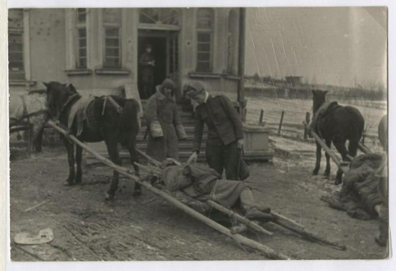 Доставка раненых на волокушах, 1944 год, Витебская обл.