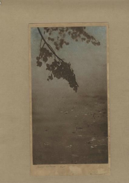 Листья опадают, 1920-е
