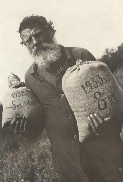 Колхозник колхоза «Красный» с полученным им зерном на трудодень, 1933 год. Выставки: «Теперь мы заживем!» и&nbsp;«Великий перелом» с этой фотографией.