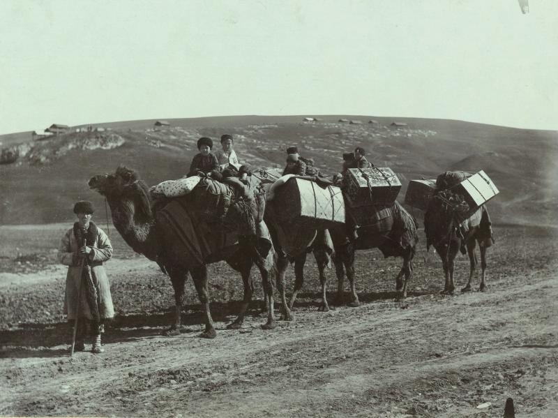 Переселение на верблюдах из города Шемахи по случаю землетрясения, 1902 год