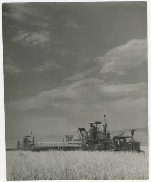 Комбайн в поле, 1960-е