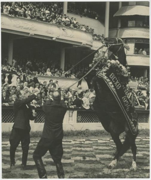 Конь-рекордсмен, 1954 год